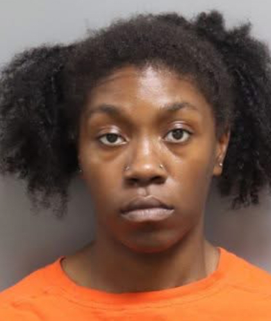 Dorchester County Woman Arrested After Allegedly Attempting to Run Over Victims with Vehicle